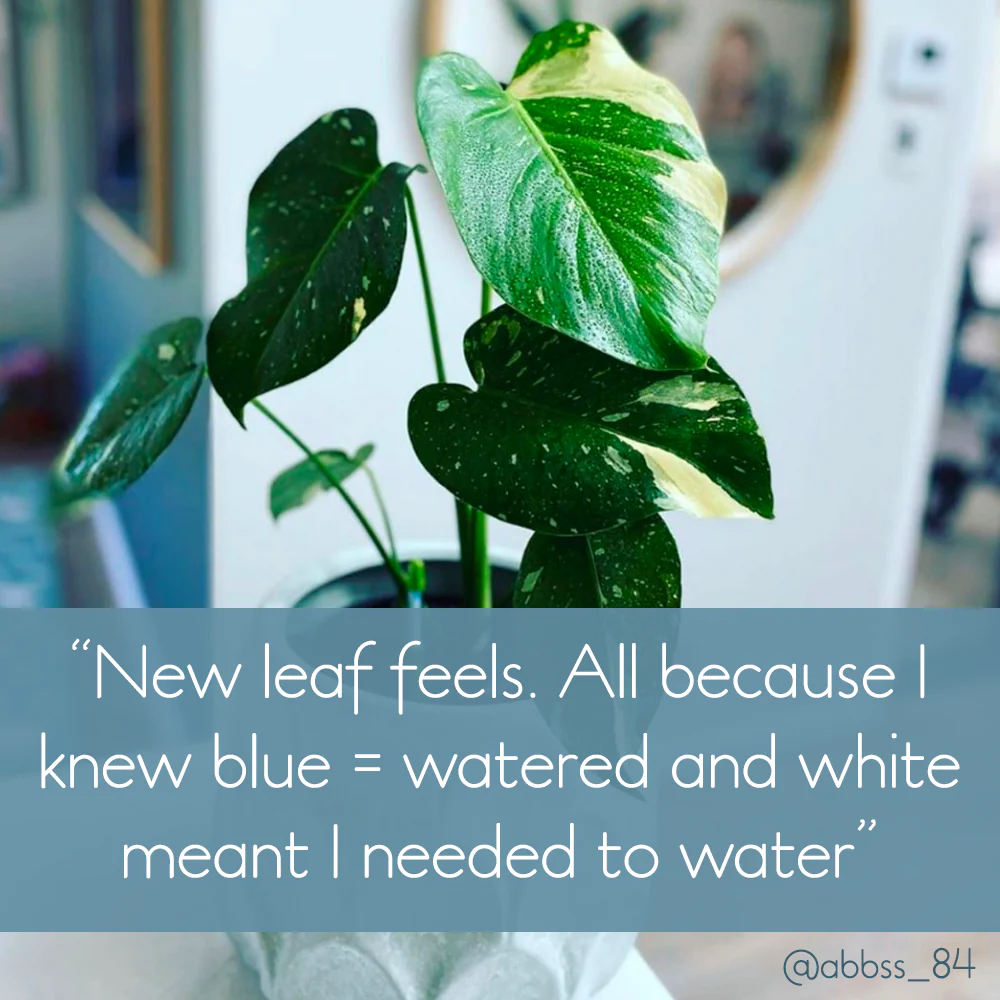 Sustee Water Meter - GREEN (3 sizes) - Image 5