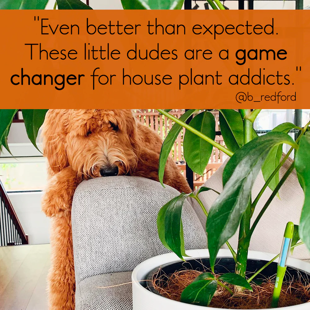 Sustee Water Meter - GREEN (3 sizes) - Image 7