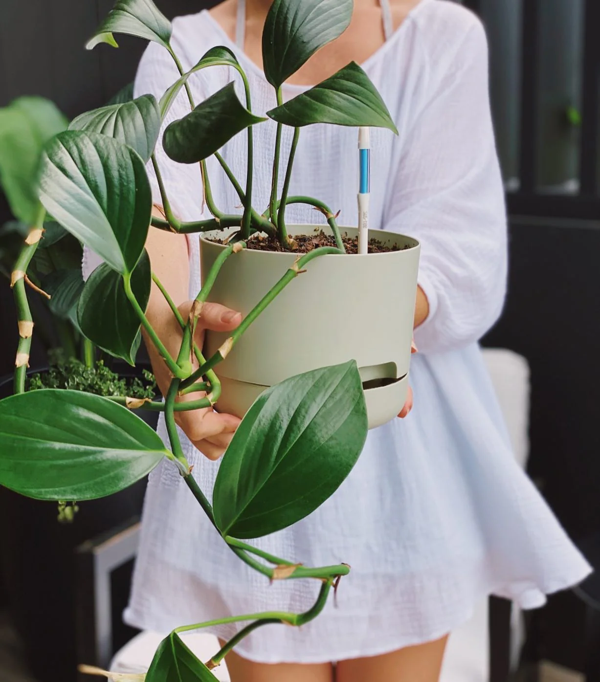 Sustee Water Meter - GREEN (3 sizes) - Image 8