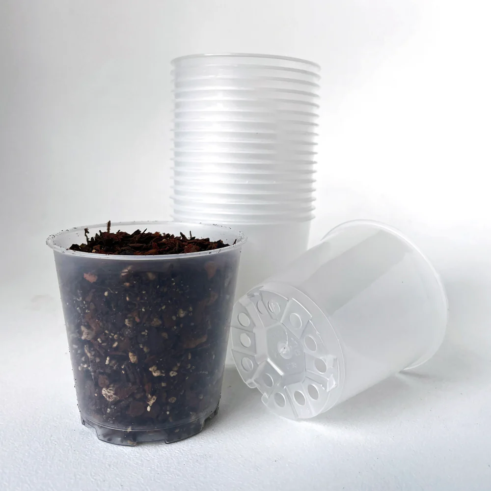 TEKU MINI Clear Nursery Pot - 5.5cm x 5.5cm - from 42c each - Image 3