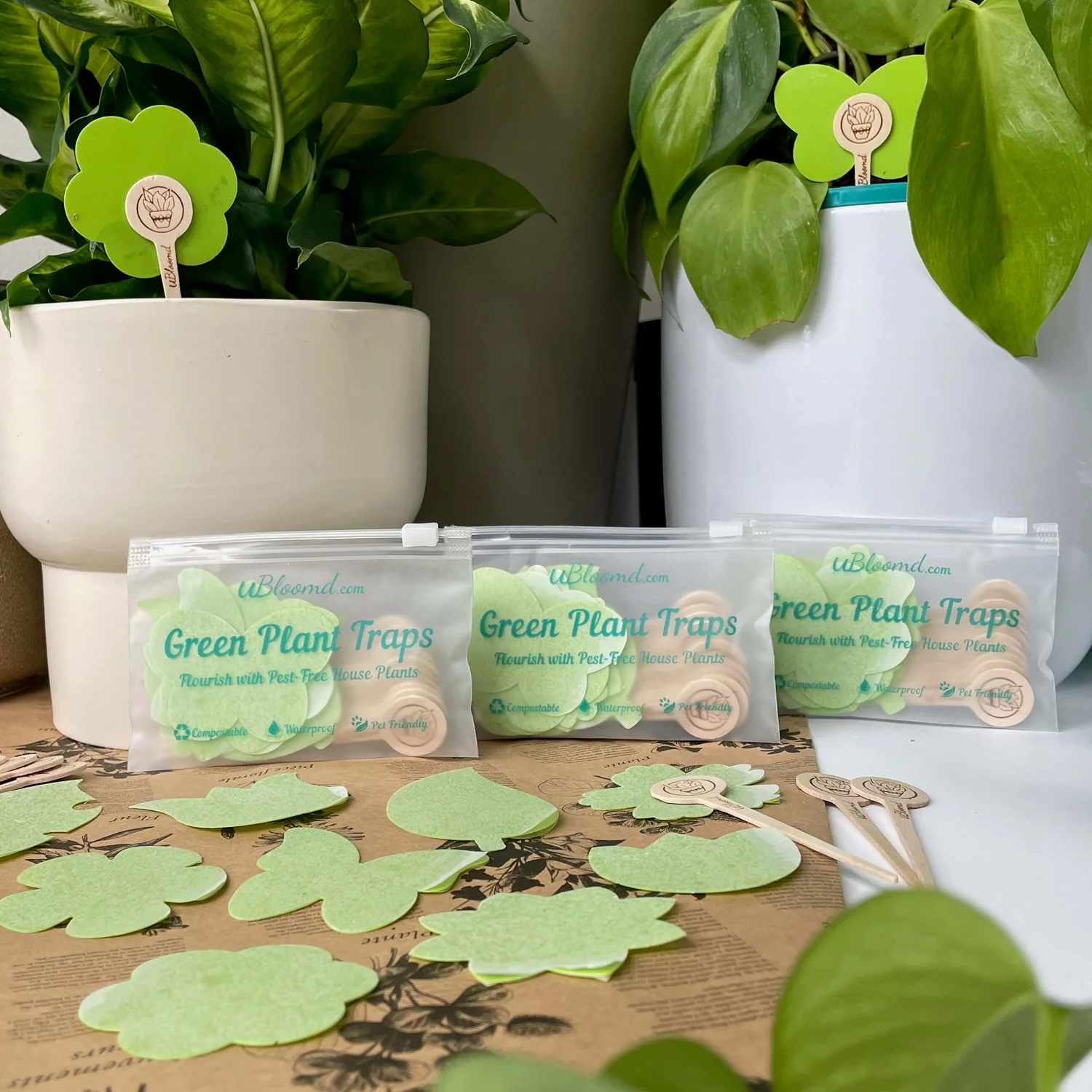 uBloomd Green Sticky Traps NATURE COLLECTION for flying pests - 10 traps / 5 clips - $1.90 per trap - Image 4