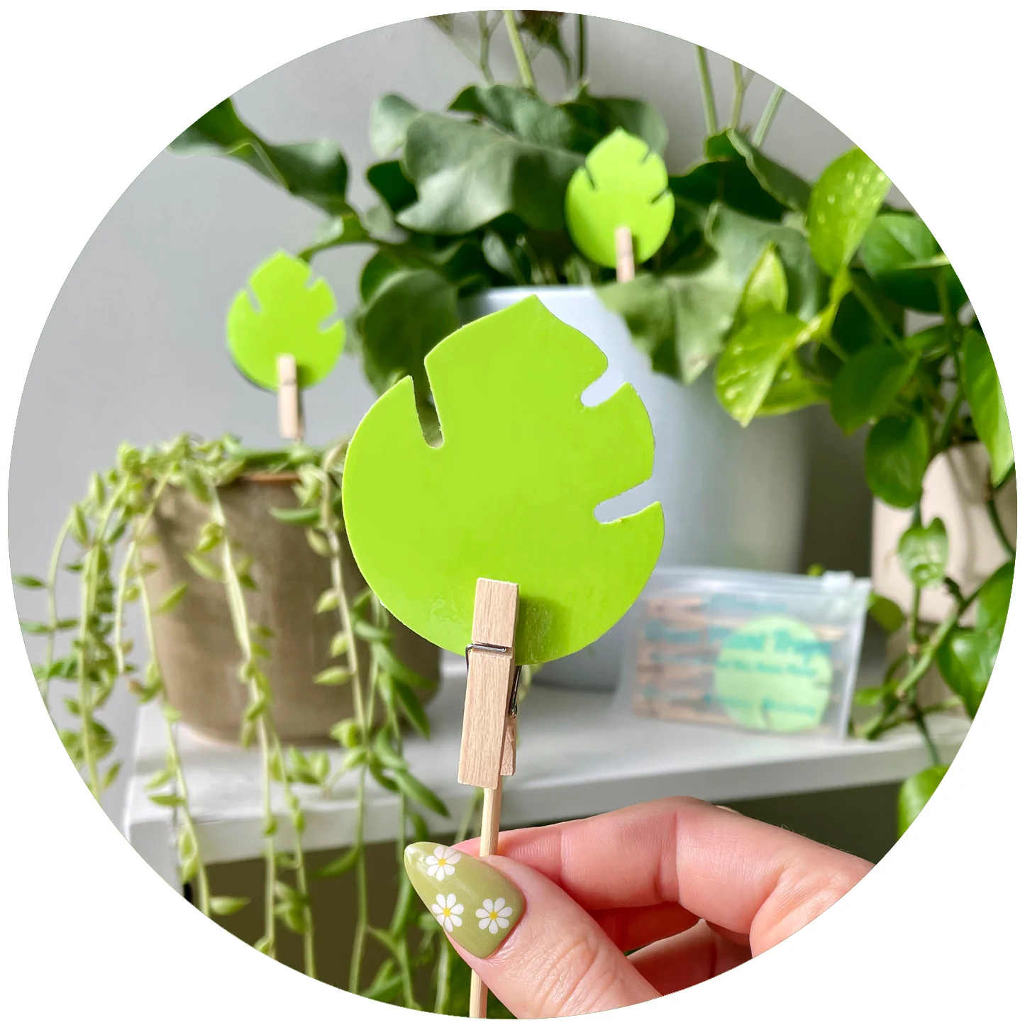 Matariki Super Stars Sale